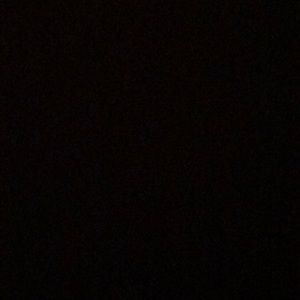 Meet your Posher, Reece